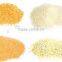 Bread Crumb Production Plant/Meat Forming Machine/Battering & Breading Machine