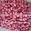 2014 crop Shandong peanut