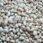 we are supplying Japanese white kidney beans with good quality FOR SALE