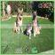 2016 New Coming Environment Friendly Pet Grass with 30mm Height 3/8 inch