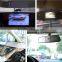 Factory 4.3 inch TFT LCD display car reverse camera mirror system