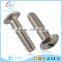 Different Sizes 304 stainless steel cross recessed truss head screw