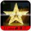 LED 3D Star Motifs Light for Christmas Decorations