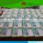 Sunflower Stem C.S Individual microscope prepared slide