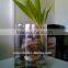 wholesale clear plexiglass vase