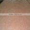 0.3mm Thickness Natural Peeling Cut Bintangor Veneer