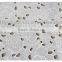 Latest design optical white water soluble embroidery wedding lace fabric