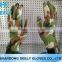 13Gauge Transparent Nitrile Fully Coated Gloves with Printing Liner for Garden