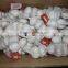 2015 fresh garlic in china market (4pcs small packing)