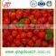 For sale chinese High quality whole Fresh Strawberry