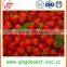 A13 15-25 mm Best quality Whole Fresh Strawberry