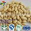 Blanched peanut with quality for sale