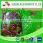 Berries Product Frozen Style Mixed Frozen Berry