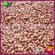 2015 New Crop Organic Yanshan Fresh Chestnuts-Raw Material for Canned Chestnuts