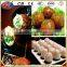 stuffed meatball machine|electric meatball machine