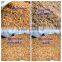 Industrial wood chipper for biomass fuel processing equipment