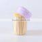 chinese supplier tooth cleaning toothpick