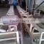 sawdust belt conveyor with factory price