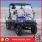 2017 Hot Sale EEC 4KW Adult Electric ATV