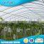 China Online Selling 100% Spunbonded Landscaping Pp Agriculture Nonwoven Fabric