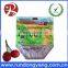 Stand Up Pouch Fruit Packaging Bag With Handle