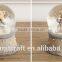 Funny bear resin unique glass snow globe
