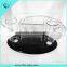 Acrylic stools display case for office