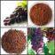 Grape seed Extract