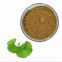 Organic Raw Material Ginkgo Biloba Extract 24 Flavonoids 6 Lactones