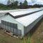Hot Galvanized Automatic Chicken Cage/Poultry Farm House Design  custom steel structure chicken house