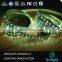 Full color led display smd5050 rgb and cct 7colors led strip light with remote controller