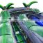 Rainforest Waterslide With Pool, Kids Backyard Inflatable Water Slides For Sale