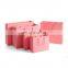 Custom Pink Shopping Mini Gloss Gift Small Paper Bag Logo Pink Paperbag With Handle