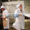 Горячо продаваемая пищевая продукция. Маленькая порционная камера быстрого замораживания IQF, полусавтоматическое оборудование для быстрого замораживания по хорошей цене.