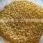 NON GMO Length 3-5cm 6-8cm IQF Frozen Sweet Corn Cut