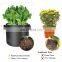 Amazon Hot Sold 3 5 100 Gallon Plant Felt Bag Non Woven Planter Pot Non-Woven Fabric Plants Eco Friendly Garden Grow Bags
