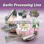 garlic clove separating machine onion peeler garlic peeling machine in pakistan