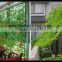 100% virgin PE garden trellis net,garden climbing plants protect netting, cucumber grow supporting net