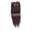 Best Seling Remy Human Hair Clip In Hair Extension, Double Drawn Wholesale 100g Clip In Hair Extension