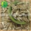 Top Sale Products Sunflower Seeds in China