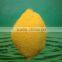 yellow & white Poly Aluminium Chloride For Drinking Water