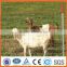 Low Price Cattle Electric Fence /Metal Cattle Fence/Electric Fence For Cattle(ISO9001 certification)