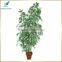 landscape deocration plastic bamboo bonsai tree cheap price for sale