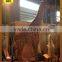 HLT Park life size Giraffe animatronic animals