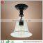 Glass Ceiling Lamp Housing Lighting