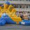 commercial dolphin water slide with pool , inflatable water slide for kid and adult