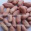 Supply Chinese Peanut Kernels Long for Sales