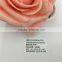 Wholesale 100% Polyester 7/8 inch Grosgrain Ribbon
