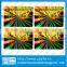 Supply 3d hologram printer label stickers factory price