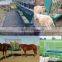 high quality cheap hot sell livestock horse hay feeder(factory)